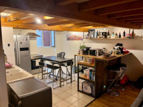Loft canut 70m2 tout équipé